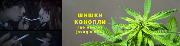гидра Алзамай
