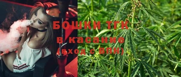 прущие грибы Алексеевка