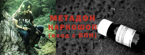 прущие грибы Алексеевка